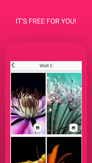 Mix Colourful Flowers Live Wallpaper Screenshot 2