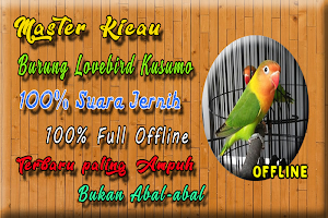 Lovebird Kusumo Ngekek Panjang MP3 Screenshot 0