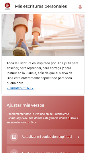 ACYM Calacoto Screenshot 2