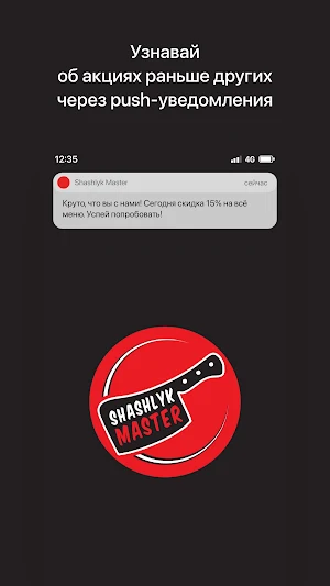 Shashlyk Master Screenshot 0