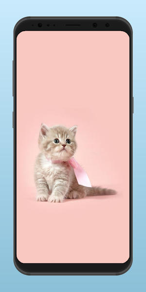 Aesthetic Cute Kitten Wallpaper 4K Screenshot 3