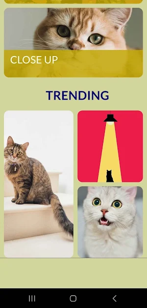 Cute Cats Wallpaper Screenshot 1