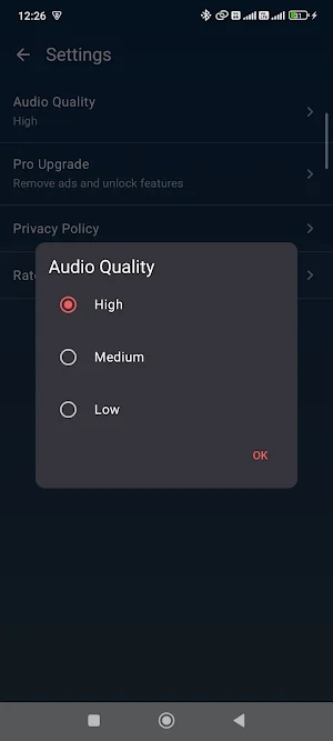Clear Voice Recorder Screenshot 3
