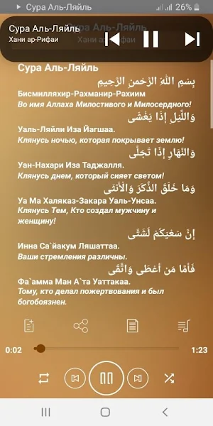 Сура Аль-Ляйль аудио Screenshot 2