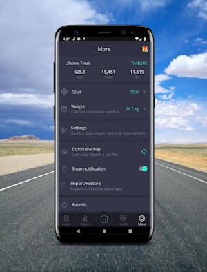 Pedometer Screenshot 2
