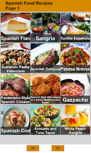 Spanish Food : Offline Recipes Screenshot 0