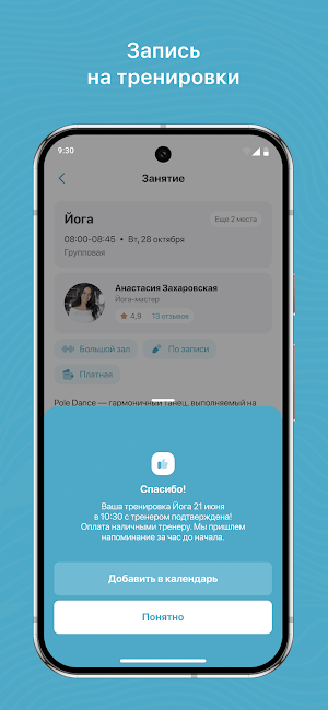 Ледяные крылья Screenshot 2