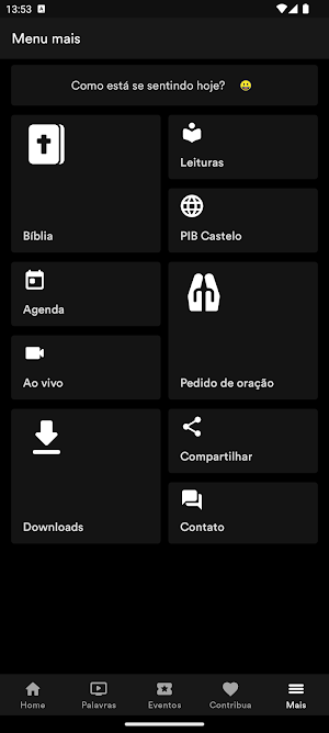 PIB CasteloBH Screenshot 3
