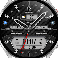 WFP 160 Luxury Watch Face