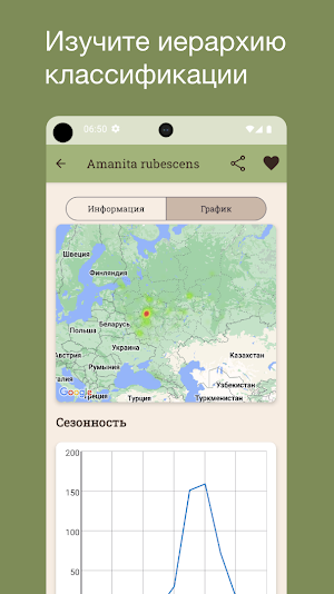 Опознавание грибов Screenshot 0