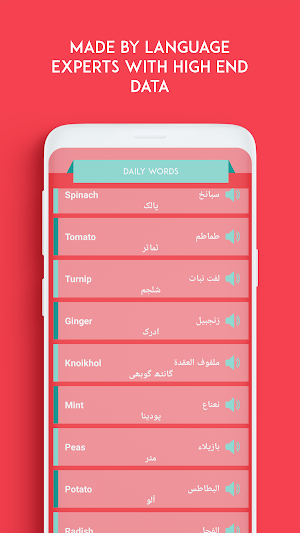 English Urdu Arabic Converter Screenshot 3