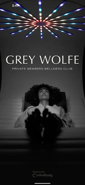 Grey Wolfe London Screenshot 0