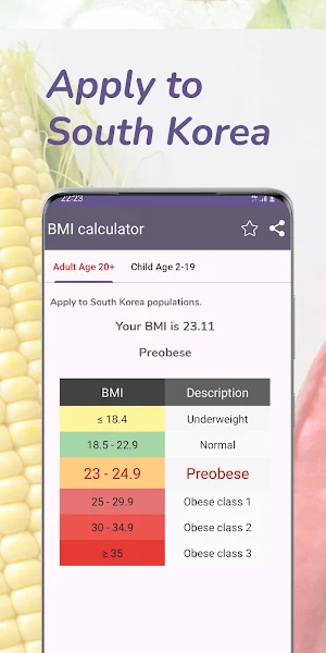 BMI Calculator Screenshot 2