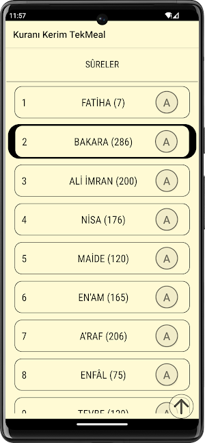 Kuranı Kerim TekMeal Screenshot 3