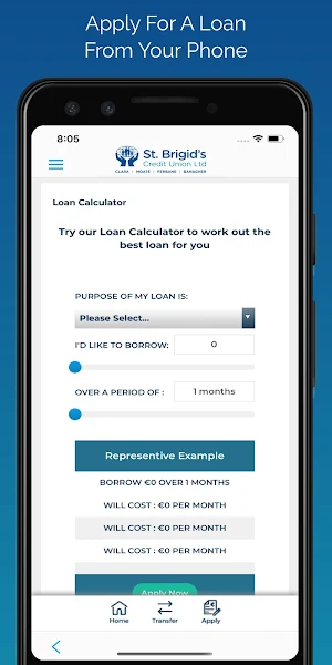 St.Brigids Credit Union Screenshot 2