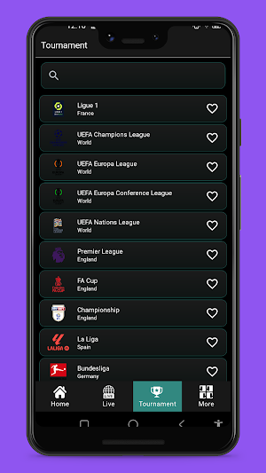 EH Football Score Screenshot 2