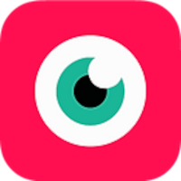 NDI Camera