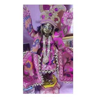 Radhe Clothing