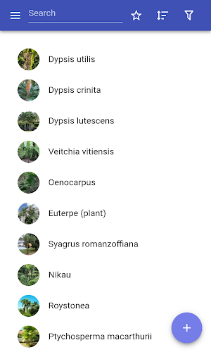 Ornamental trees Screenshot 0