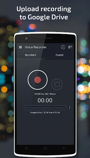 Voice Recorder Screenshot 3