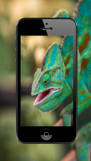 Lizard Wallpapers and Backgrounds Screenshot 1