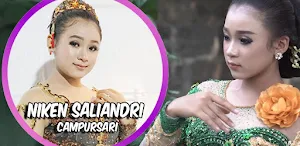 Lagu campur sari jawa timur Screenshot 2