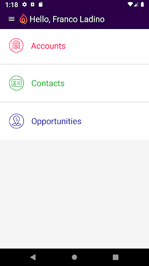 Prometeo CRM Screenshot 2