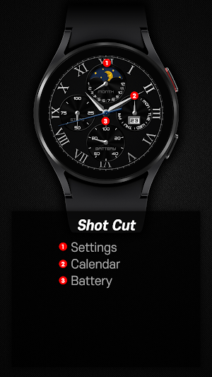 SamWatch Analog F 2021 Screenshot 2
