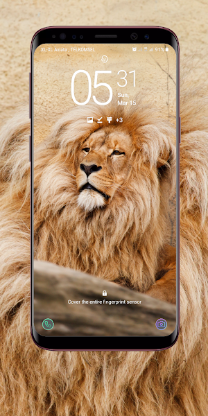 Lion Wallpaper Screenshot 3