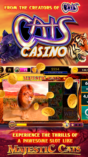 CATS Casino – Real Hit Slot Machine! Screenshot 0