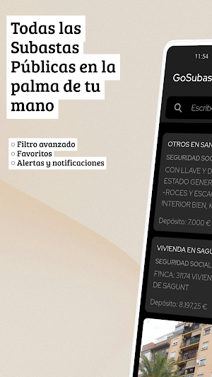 Subastas públicas Screenshot 0