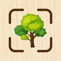 Wood Identifier: AI Scanner