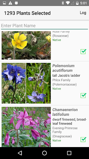 Yukon Wildflowers Screenshot 3