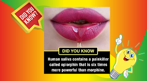 Human Body facts : Amazing Facts About Human body Screenshot 2