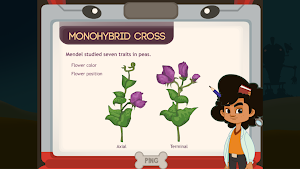 Monohybrid Cross Screenshot 1