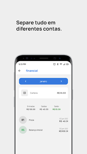 Financial Screenshot 1