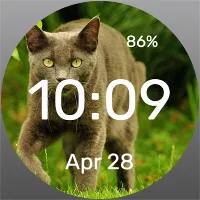 Predator - Watch Face
