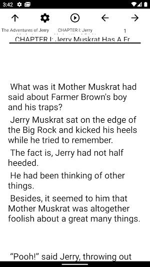 Book, The Adventures of Jerry  Screenshot 1