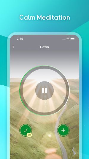 AcornMeditation Screenshot 0