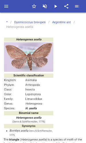 Insect pests Screenshot 3