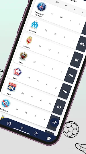 Football Pro France Screenshot 2