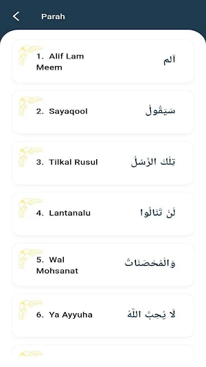 Deen-e-Kamil Screenshot 3