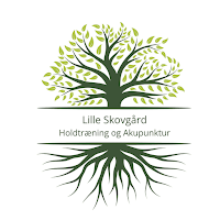 Lille Skovgård - Holdtræning