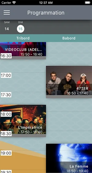 Ronquières Festival Screenshot 2