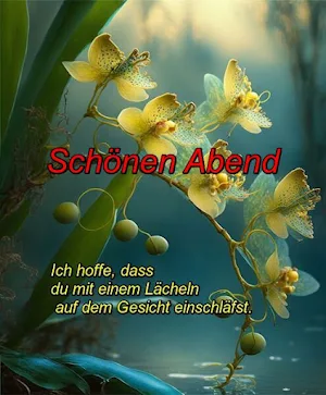 Schönen Abend,Guten Morgen Screenshot 1