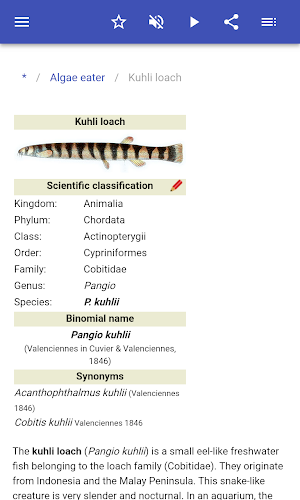 Aquarium fish Screenshot 2