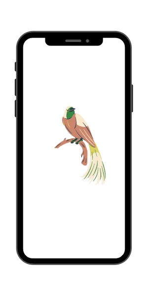Burung Cendrawasih Wallpaper Screenshot 0