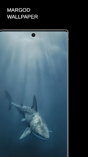 Shark Wallpaper Screenshot 0