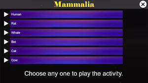 Diversity in Living: Mammalia Screenshot 0