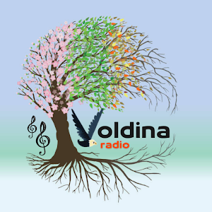 Voldina Radio Screenshot 1